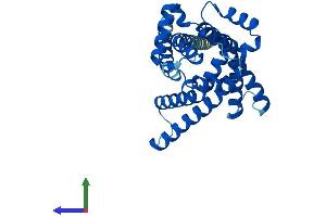 AlphaFold protein structure predicition of Mouse Recombinant Slc25a42 Protein, UniprotID Q8R0Y8