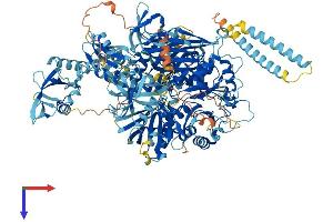 AlphaFold protein structure predicition of Mouse Recombinant Plcg2 Protein, UniprotID Q8CIH5