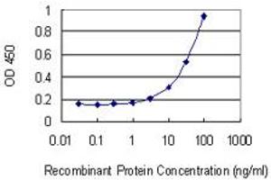 Detection limit for recombinant GST tagged TRIM21 is 1 ng/ml as a capture antibody. (TRIM21 anticorps  (AA 1-475))