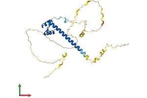 AlphaFold protein structure predicition of Human Recombinant TLX3 Protein, UniprotID O43711