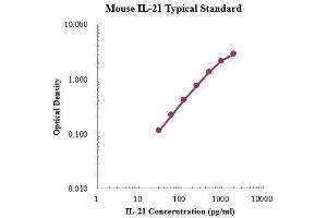 ELISA image for Interleukin 21 (IL21) ELISA Kit (ABIN3198574)