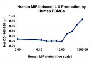 SDS-PAGE of Human MigSDS-PAGE of Ration Inhibitory Factor Recombinant Protein Bioactivity of Human Migration Inhibitory Factor Recombinant Protein.