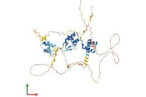 AlphaFold protein structure predicition of Human Recombinant PAX7 Protein, UniprotID P23759