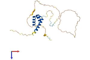 AlphaFold protein structure predicition of Human Recombinant HOXA6 Protein, UniprotID P31267