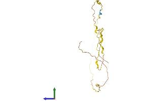 AlphaFold protein structure predicition of Human Recombinant LINC00612 Protein, UniprotID Q8N6U2