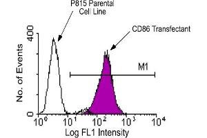 Flow Cytometry (FACS) image for anti-CD86 (CD86) antibody (FITC) (ABIN371013) (CD86 anticorps  (FITC))