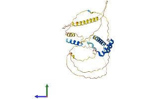 AlphaFold protein structure predicition of Mouse Recombinant Shox2 Protein, UniprotID P70390