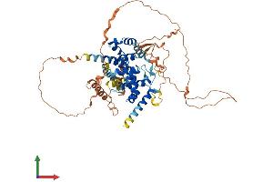 AlphaFold protein structure predicition of Human Recombinant TBC1D3L Protein, UniprotID B9A6J9 (TBC1D3L (AA 1-549) protein (His tag))