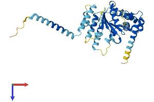 AlphaFold protein structure predicition of Human Recombinant ATAD1 Protein, UniprotID Q8NBU5