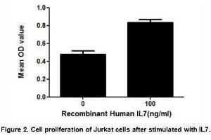 IL7 (Interleukin 7) is a hematopoietic growth factor secreted by stromal cells in the bone marrow and thymus.