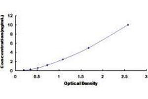 MutL Homolog 1 (MLH1) ELISA Kit