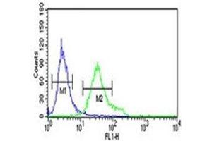 anti-DiGeorge Syndrome Critical Region Gene 8 (DGCR8) (AA 439-466) antibody