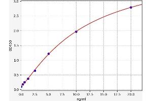 Typical standard curve (SRSF1 Kit ELISA)