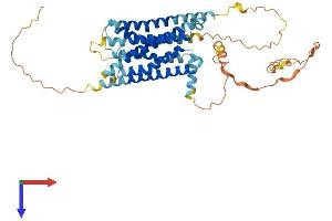 G Protein-Coupled Receptor 61 (GPR61) (AA 1-449) protein (His tag)