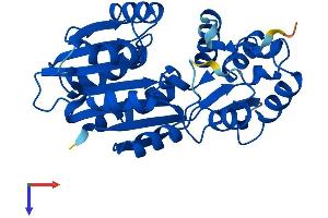 AlphaFold protein structure predicition of Mouse Recombinant Hnmt Protein, UniprotID Q91VF2