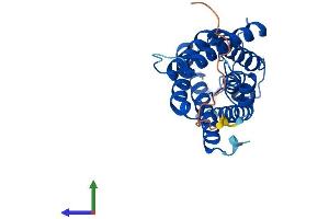AlphaFold protein structure predicition of Mouse Recombinant Mip Protein, UniprotID P51180 (Mip (AA 1-263) protein (His tag))