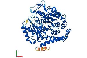 AlphaFold protein structure predicition of Human Recombinant TUBB Protein, UniprotID P07437