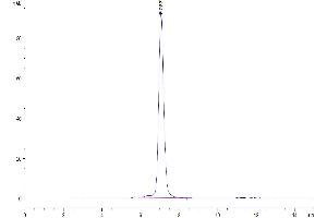 The purity of Human IL-20RA is greater than 95 % as determined by SEC-HPLC. (IL20RA Protein (AA 30-250) (Fc Tag))