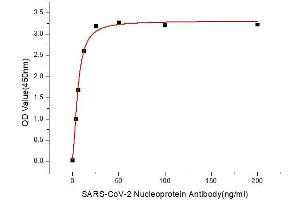 Immobilized Recombinant 2019-nCoV Nucleocapsid Protein (RP01264LQ) at 1 μg/mL (100μL/well) can bind SARS-CoV-2 Nucleoprotein Rabbit mAb (ABIN7269048) with a linear range of 3.