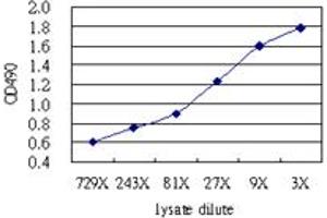 IFITM3 (Human) Matched Antibody Pair