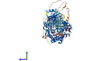 AlphaFold protein structure predicition of Human Recombinant PARP9 Protein, UniprotID Q8IXQ6