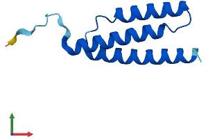 AlphaFold protein structure predicition of Mouse Recombinant Lyrm2 Protein, UniprotID Q8R033