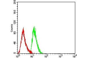 Flow cytometric analysis of THP-1 cells using CD7 mouse mAb (green) and negative control (red). (CD7 anticorps  (AA 26-180))