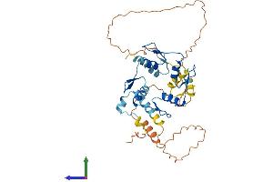 AlphaFold protein structure predicition of Human Recombinant ZNF552 Protein, UniprotID Q9H707