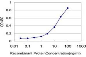 Detection limit for recombinant GST tagged HUNK is approximately 0. (HUNK anticorps  (AA 615-714))