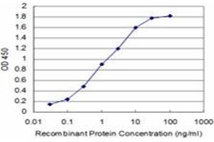 Detection limit for recombinant GST tagged SPI1 is approximately 0.