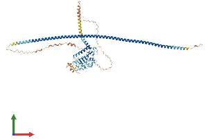 AlphaFold protein structure predicition of Human Recombinant LRRIQ3 Protein, UniprotID A6PVS8