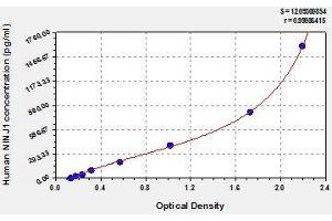 Typical standard curve (NINJ1 Kit ELISA)