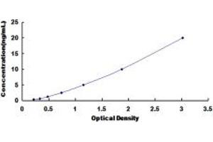 Typical standard curve (MYOM2 Kit ELISA)