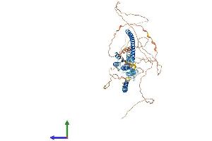 AlphaFold protein structure predicition of Mouse Recombinant Cbfa2t3 Protein, UniprotID O54972