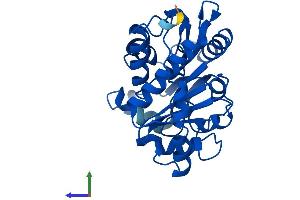 AlphaFold protein structure predicition of Mouse Recombinant Gnpda2 Protein, UniprotID Q9CRC9