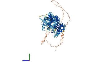 AlphaFold protein structure predicition of Mouse Recombinant Spata16 Protein, UniprotID Q8C636