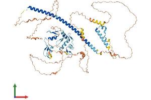 AlphaFold protein structure predicition of Human Recombinant ZNF282 Protein, UniprotID Q9UDV7