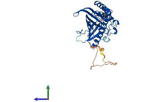 AlphaFold protein structure predicition of Human Recombinant PITPNC1 Protein, UniprotID Q9UKF7