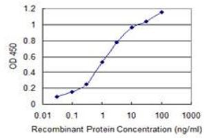 Detection limit for recombinant GST tagged USP9X is 0. (USP9X anticorps  (AA 1-90))