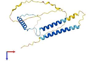 AlphaFold protein structure predicition of Mouse Recombinant Ccdc28b Protein, UniprotID Q8CEG5