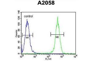 COL17A1 Antibody (Center) flow cytometric analysis of A2058 cells (right histogram) compared to a negative control cell (left histogram). (COL17A1 anticorps  (Chain alpha 1, Middle Region))