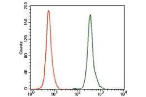 Flow cytometric analysis of K562 cells using NR6A1 mouse mAb (green) and negative control (red).