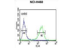 Flow Cytometry (FACS) image for anti-phosphatidylserine Decarboxylase (PISD) antibody (ABIN3003933)