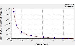 Typical Standard Curve (Lipocalin 2 Kit ELISA)