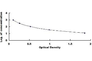 Typical standard curve (CCK18 Kit ELISA)