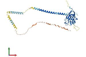 AlphaFold protein structure predicition of Mouse Recombinant Sun5 Protein, UniprotID Q9DA32