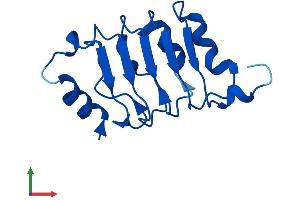 AlphaFold protein structure predicition of Human Recombinant ANP32D Protein, UniprotID O95626