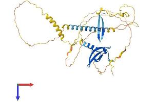 AlphaFold protein structure predicition of Human Recombinant CBX8 Protein, UniprotID Q9HC52