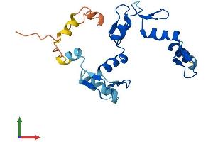 AlphaFold protein structure predicition of Human Recombinant ZNF876P Protein, UniprotID Q49A33