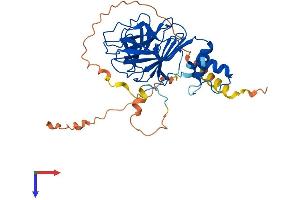 AlphaFold protein structure predicition of Human Recombinant SPSB3 Protein, UniprotID Q6PJ21